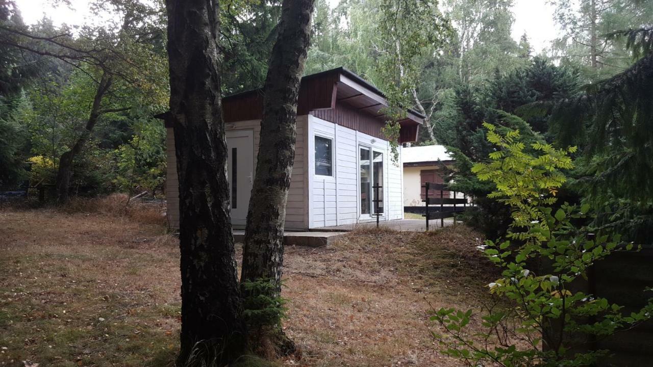 Bungalowdorf Klein Budelsdorf Altenberg  Extérieur photo